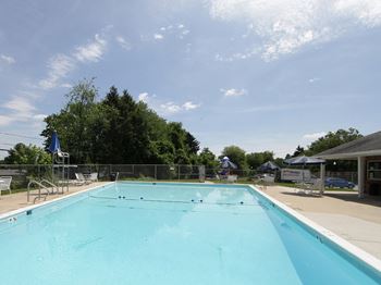 Private swimming pool and loungers 